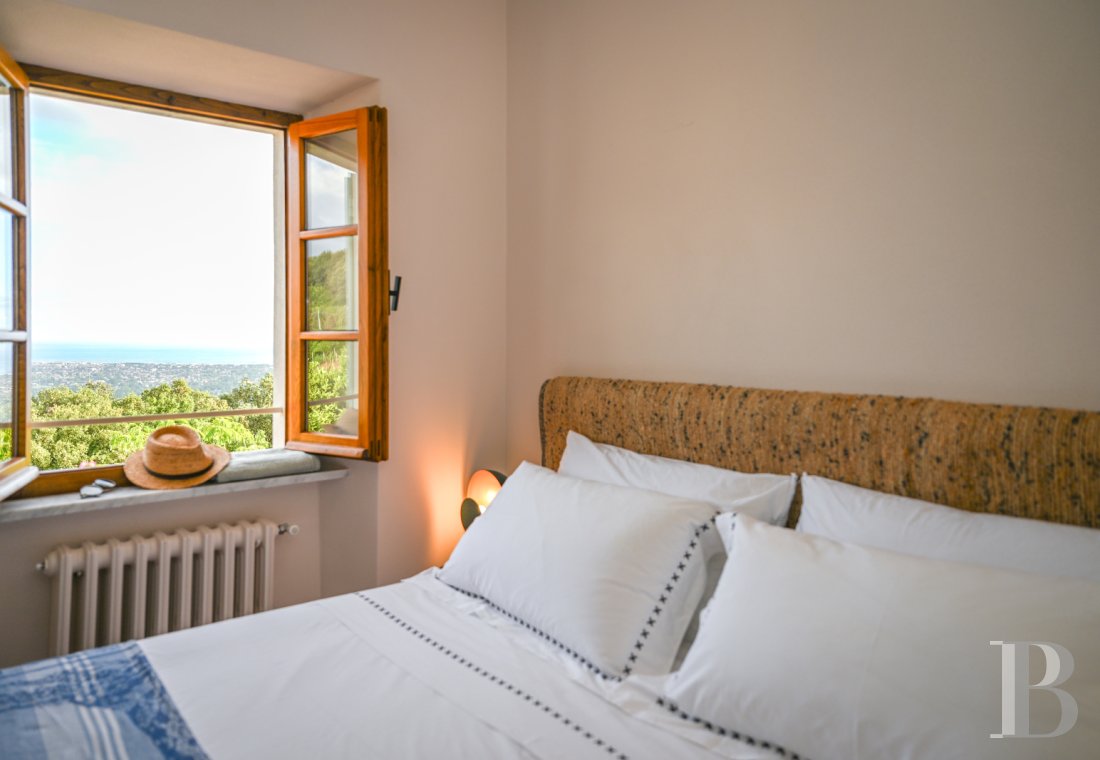 En Toscane, près de Pietrasanta, sur la côte méditerranéenne,  une maison sur les hauteurs au milieu de son oliveraie - photo  n°18